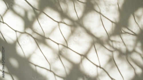 Abstract background with the shadow of a net on a white wall, soft focus, light beige and gray, simple and elegant style, high resolution, high detail, sharp edges, high quality