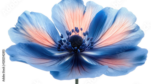 Celestial Bloom: A captivating close-up of a vibrant blue flower, with delicate petals and a warm, inviting center. Capturing the beauty and intricacy of nature's design. photo