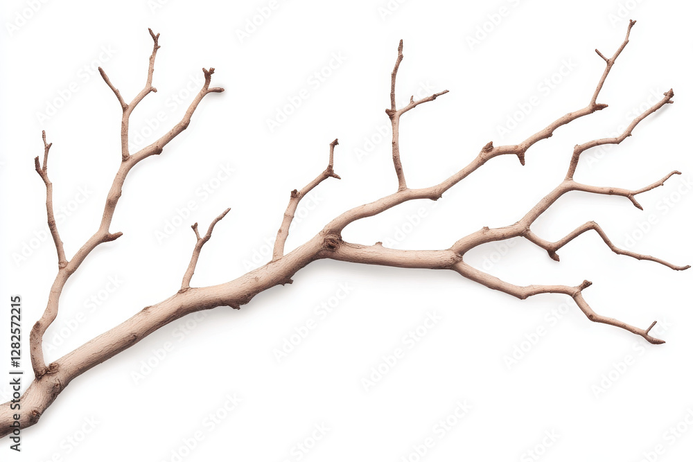 Fototapeta premium Artistic Arrangement of a Rustic Dry Branch on a White Background