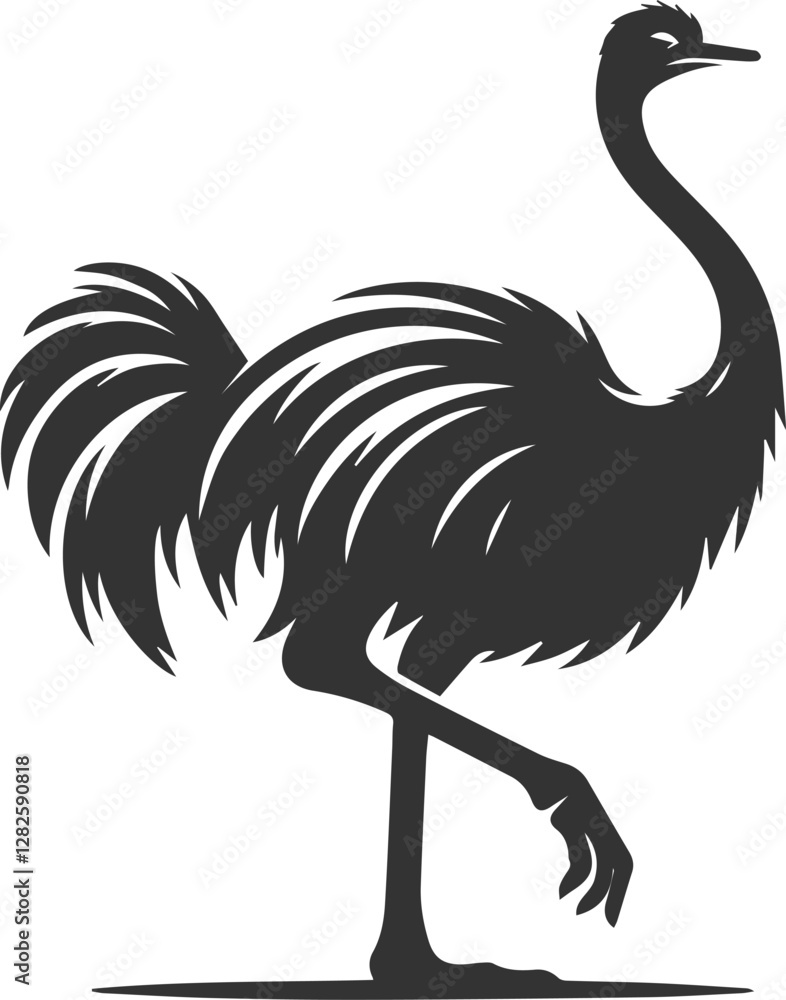 Obraz premium Ostrich stretching its long legs animal vector silhouette