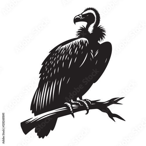Vulture perched on a branch Silhouette Vector Illustration, Solid White Background.