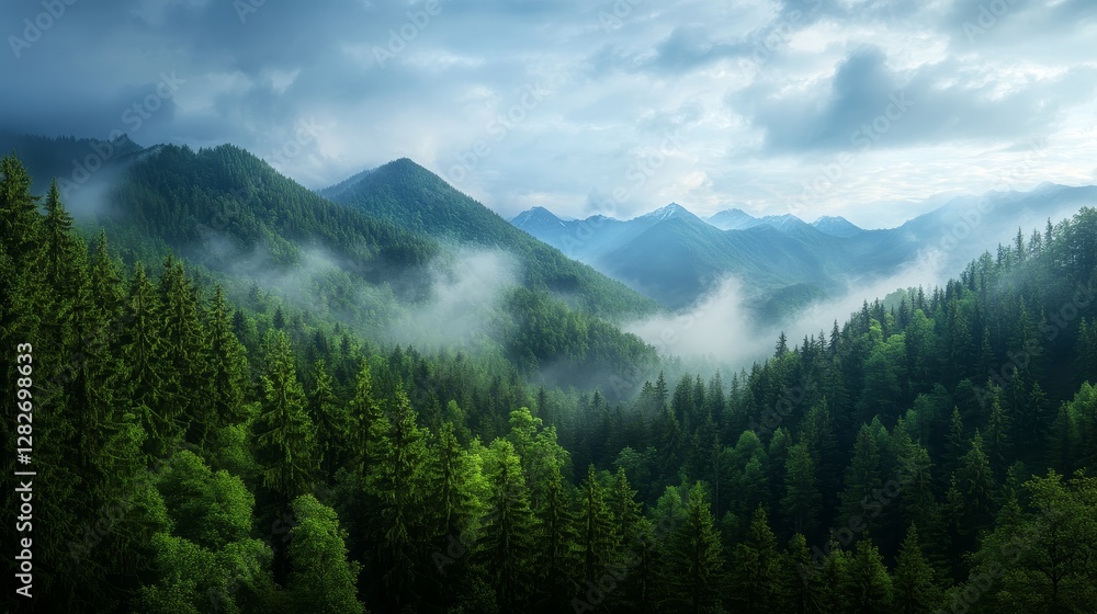 Fototapeta premium Misty Mountain Forest Landscape - Serene landscape of a misty forest nestled in a mountain range. Lush green trees and rolling hills create a peaceful atmosphere