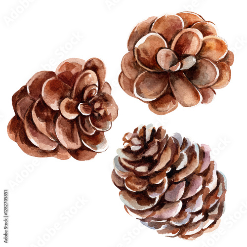 Three brown pine cones . Watercolor illustration on a white background. A set of purple flowers with stems. Isolate.