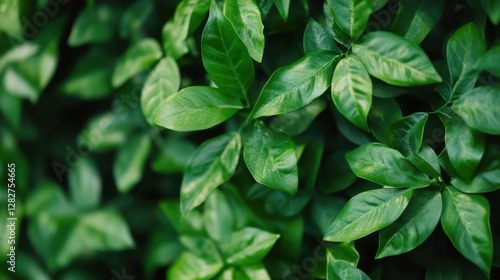 Wallpaper Mural Innovative green marketing strategies increase brand visibility. Torontodigital.ca