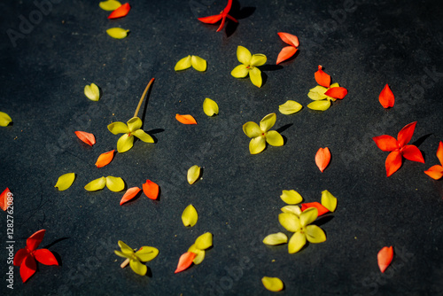 A Beautiful Ixoroideae Flower With Creativity