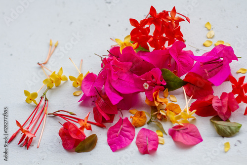 A Beautiful Flower With Soft Bokeh In The Background, Symbolizing Purity And Freshness In Nature