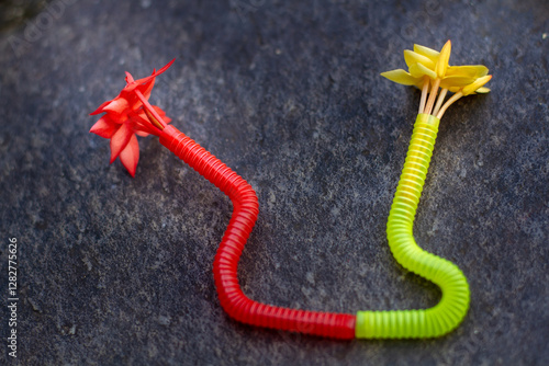 A Beautiful Ixoroideae Flower With Creativity