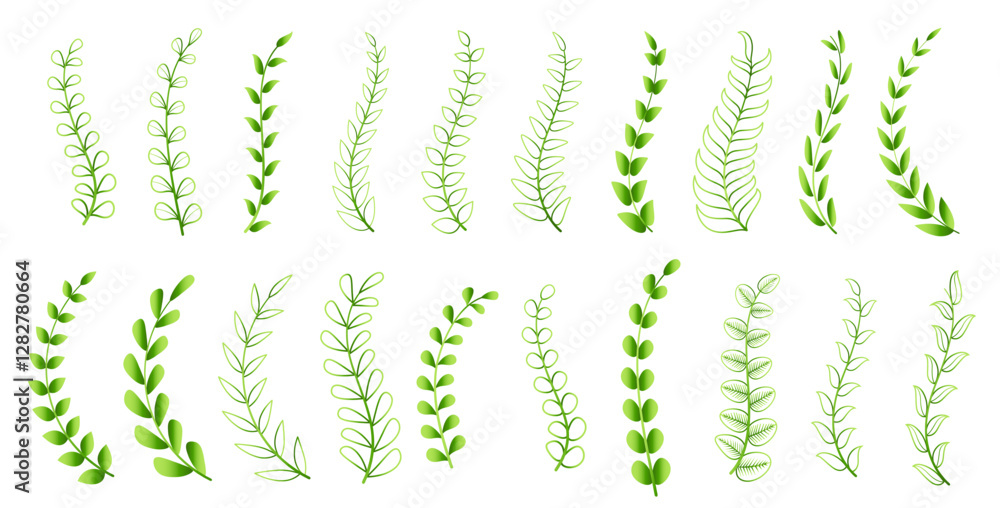 set of herbal and organic leaves design for garden decor set of herbal and organic leaves design for garden decor
