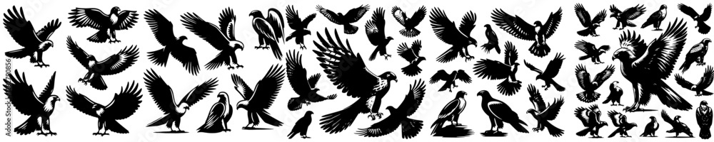Vector, isolated black silhouette of a hawk, collection, black and white color Vector, isolated black silhouette of a hawk, collection, black and white color