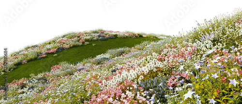 Fototapeta Naklejka Na Ścianę i Meble -  3D render of a walkway on a hill with a field of colorful flowers. On a transparent background