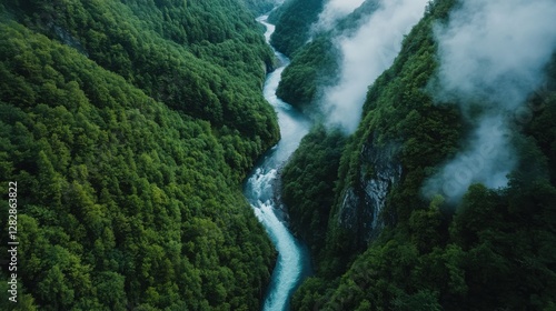 A river runs through a lush green forest, with a misty, cloudy sky overhead