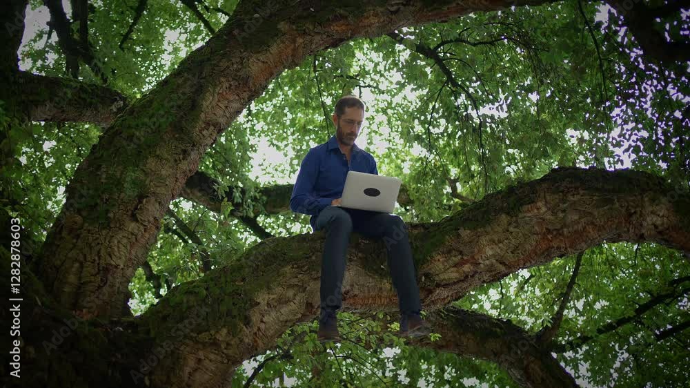 A Unique and Creative Workspace Working on a Laptop in a Tree for Inspiration and Peace A Unique and Creative Workspace Working on a Laptop in a Tree for Inspiration and Peace