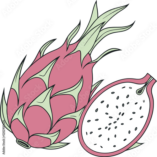 Colorful Minimalist Cartoon Dragon Fruit – High-Quality Vector Illustration for Vibrant, Exotic, and Artistic Fruit-Themed Designs