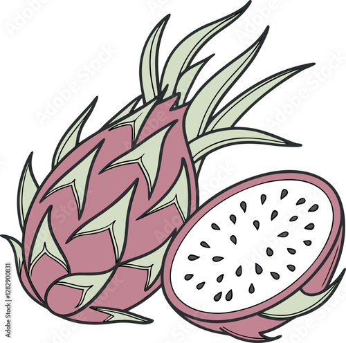Colorful Minimalist Cartoon Dragon Fruit – High-Quality Vector Illustration for Vibrant, Exotic, and Artistic Fruit-Themed Designs