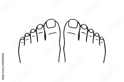 two feet top view, toes, nails, pedicure doodle hand drawn icon. Outline drawing two feet top view, toes, nails, pedicure line clipart symbol