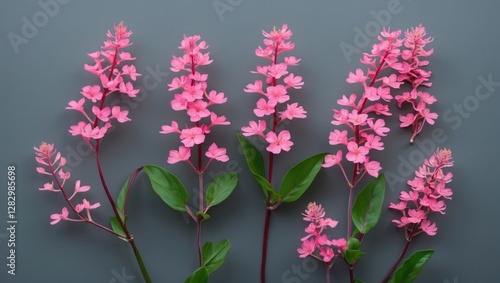 Pink flowering stems with green leaves arranged on a gray background showcasing details of petals and foliage.