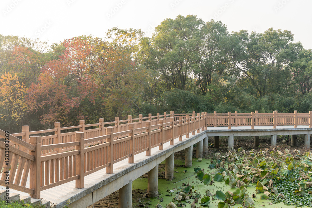 Wooden bridge over little river in city park Wooden bridge over little river in city park