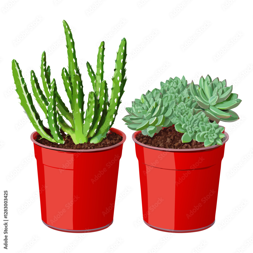 Pots with succulent plants isolated vector illustration Pots with succulent plants isolated vector illustration
