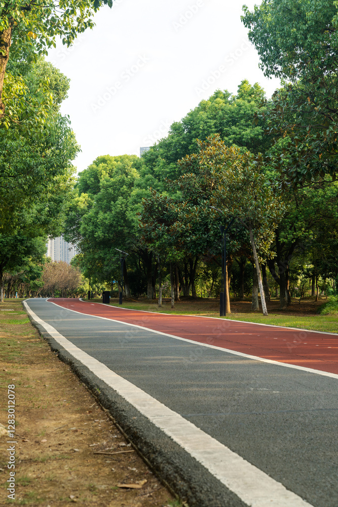 New pathway and beautiful trees track for running or walking and cycling relax in the park New pathway and beautiful trees track for running or walking and cycling relax in the park