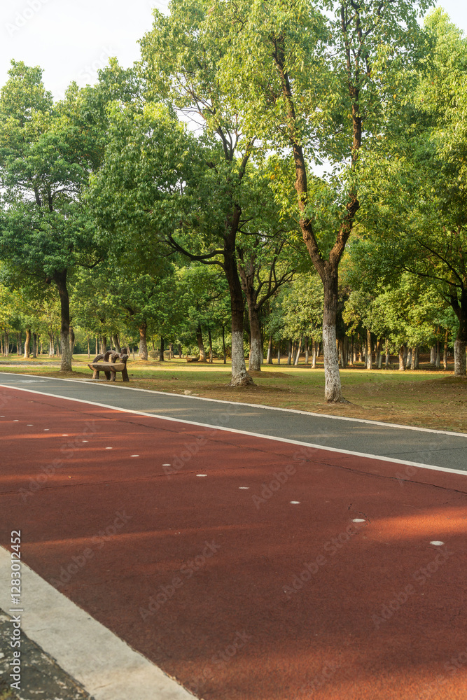 New pathway and beautiful trees track for running or walking and cycling relax in the park New pathway and beautiful trees track for running or walking and cycling relax in the park