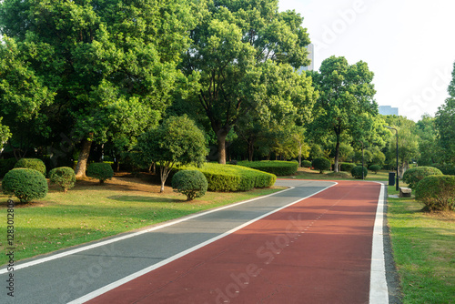 Wallpaper Mural New pathway and beautiful trees track for running or walking and cycling relax in the park Torontodigital.ca