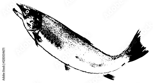 魚介の白黒シルエットイラスト fish silhouette design vector art illustration