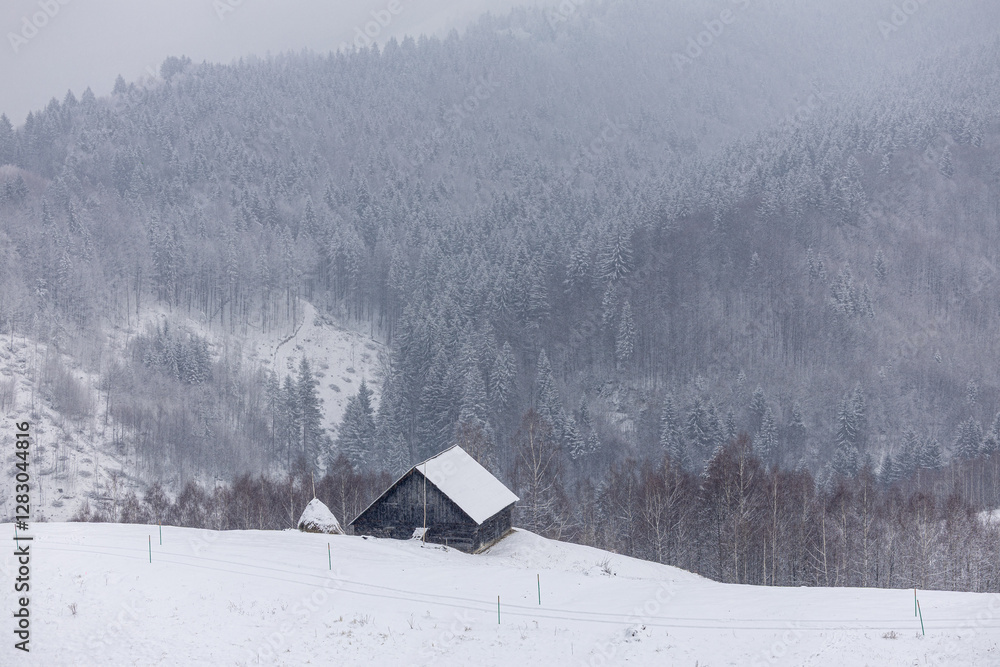 Village of Romania. Winter photo with Simon village from Transylvania. winter landscape with snow-covered trees and a rustic wooden barn, creating a peaceful and picturesque countryside scene