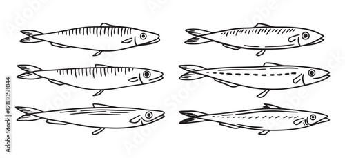 sea fish, sprat, herring, mackerel, little fish doodle hand drawn icon. Outline drawing sea fish, herring, mackerel, little fish line clipart symbol
