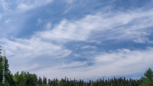 A thin strip of forest under a blue cloudy sky