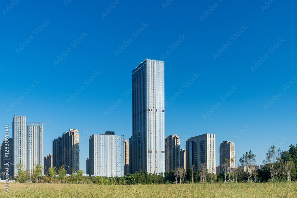 city park with modern building background in shanghai city park with modern building background in shanghai