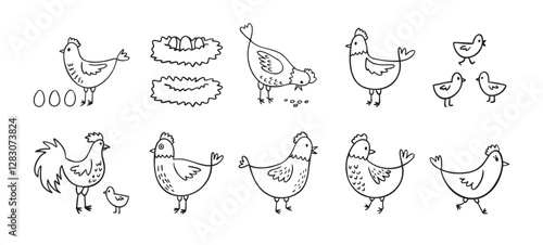Hand drawn cute hen chickens set. Doodle farm chickens sketch style. Funny outline domestic birds, poultry concept.
