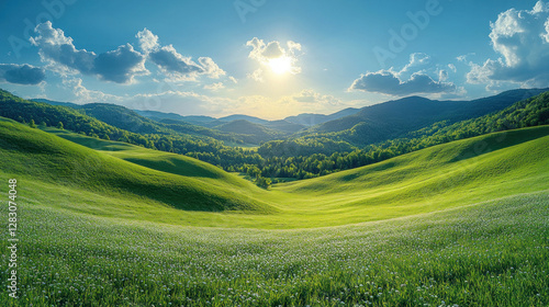 Fototapeta Naklejka Na Ścianę i Meble -  Nature background with a sunlit meadow bordered by lush green hills and blue skies