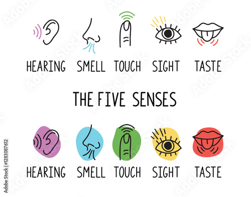 5 human senses illustrations. Taste, sight, touch, smell and hearing. Tongue, eye, finger, nose and ear. Trendy doodle hand drawn thin line icon 