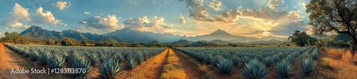 Agave Fields and Majestic Mountains at Sunset. Generative AI