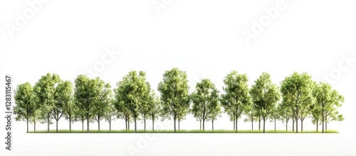 Row of lush green trees with vibrant foliage standing isolated against a bright white background creating a clean and tranquil scene.