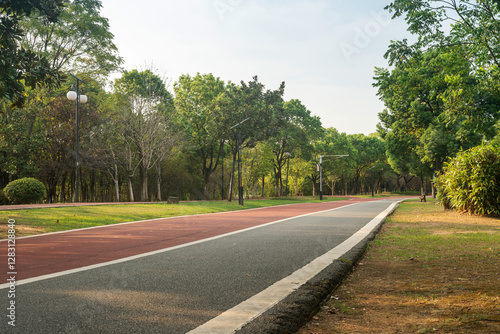 New pathway and beautiful trees track for running or walking and cycling relax in the park photo