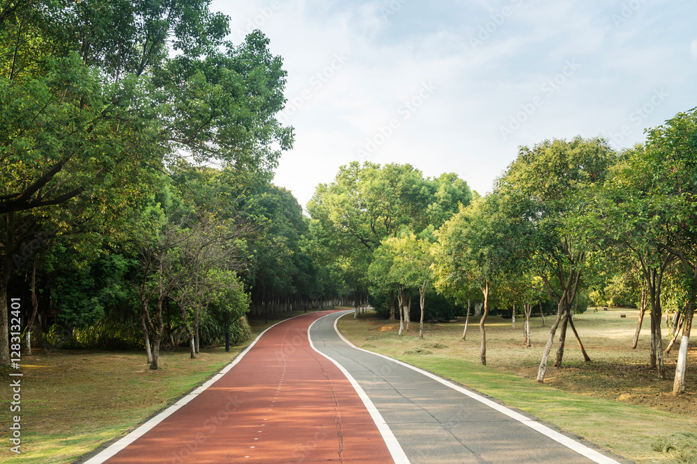 New pathway and beautiful trees track for running or walking and cycling relax in the park New pathway and beautiful trees track for running or walking and cycling relax in the park
