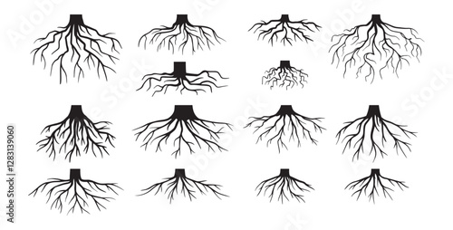 Various realistic tree roots, shrub roots. Parts of plant, root system tree stump. Dendrology, woody plants. Sketch doodle drawing.