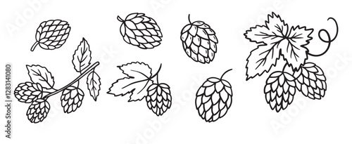Hand drawn Hops doodle hand drawn icon set. Outline drawing hop branch with leaves and cones for beer line clipart symbol collection.