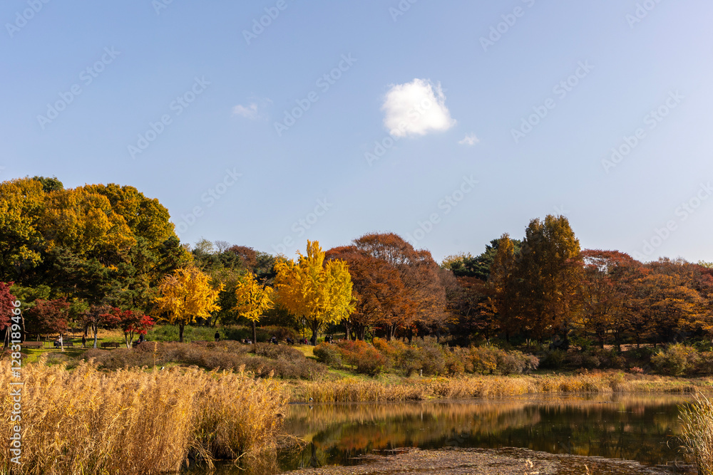 Fototapeta premium autumn landscape with trees