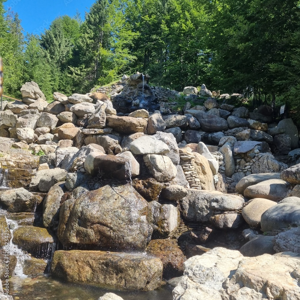 Rocky waterfall with cascading water amongst lush green trees. Natural outdoor scene. Ideal for nature, landscape, or water themes. Romania Rocky waterfall with cascading water amongst lush green trees. Natural outdoor scene. Ideal for nature, landscape, or water themes. Romania