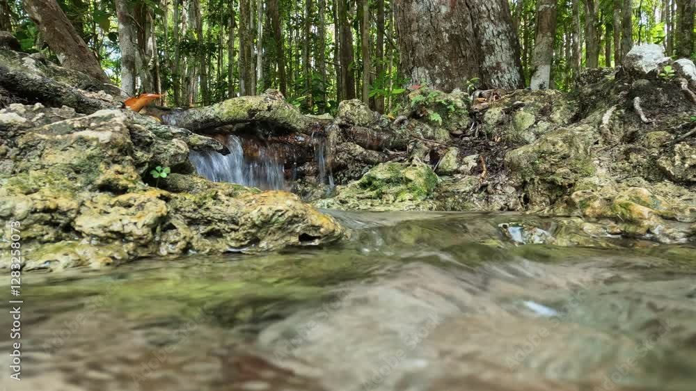 Serene Forest Stream. Nature's Tranquil Cascade. 4K footage. Serene Forest Stream. Nature's Tranquil Cascade. 4K footage.