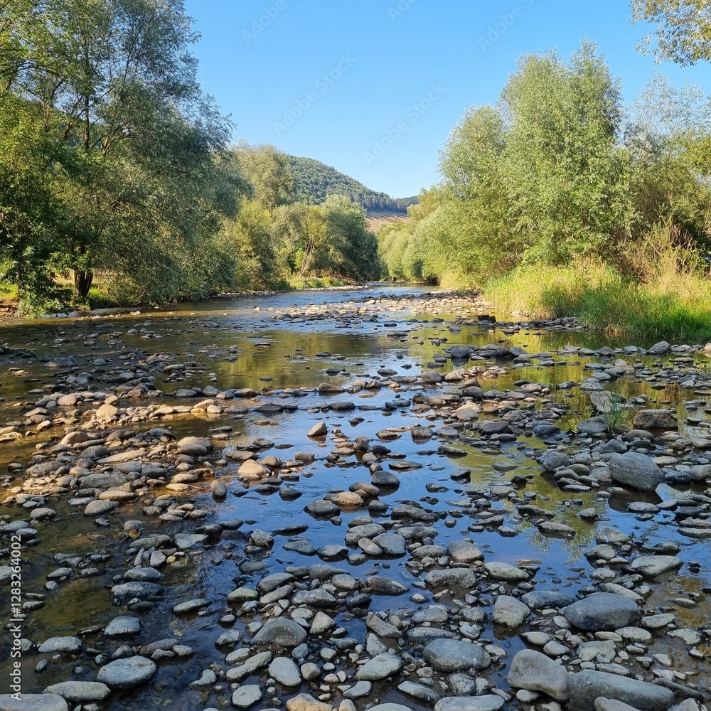 Obraz premium Sunlit river with rocky bed, flowing through a green valley with trees. Peaceful natural scene. Ideal for nature, landscape, or water themes. Romania
