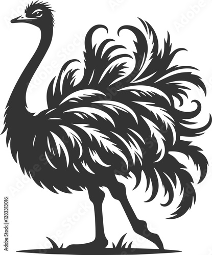Ostrich standing with ruffled feathers animal vector silhouette