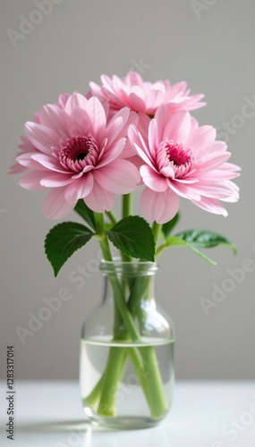 Wallpaper Mural Delicate petals of light pink Dianthus plumarius flowers in a vase, fresh cut, vase Torontodigital.ca