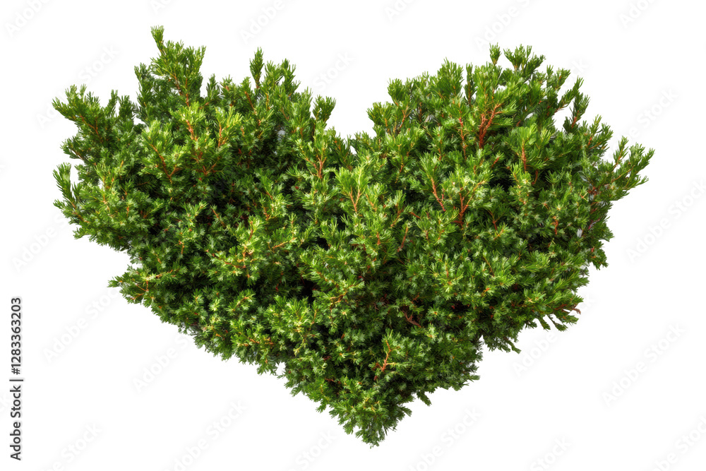Obraz premium Heart-shaped green tree element for stock use, cut out
