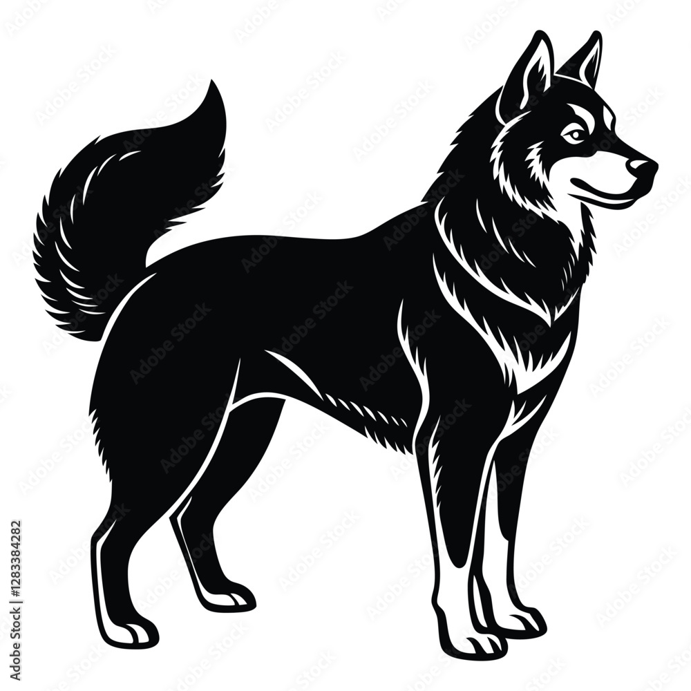 Siberian Husky Silhouette Vector. Siberian Husky Dog Standing Silhouette isolated on a white background Siberian Husky Silhouette Vector. Siberian Husky Dog Standing Silhouette isolated on a white background