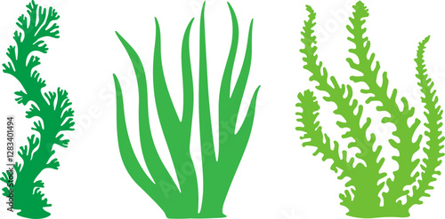 Set of seaweed marine plants vector illustration