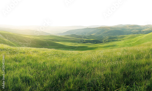 Scenic green meadow with rolling hills under sunlight, isolated on transparent cutout background