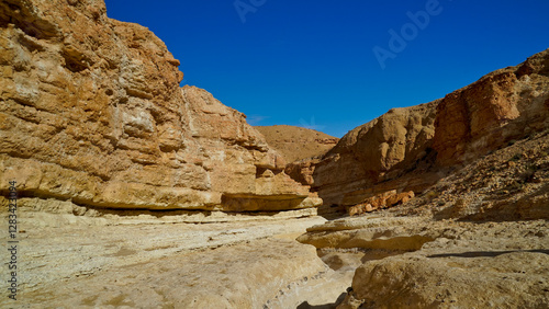Wallpaper Mural Oasi e canyon di Tamaghza, regione di Tezeur Torontodigital.ca